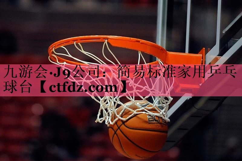 简易标准家用乒乓球台 简易标准家用乒乓球台